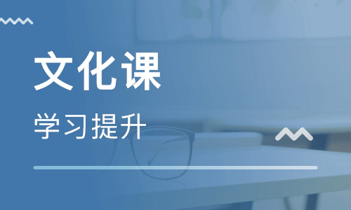 艺术生文化课学习计划